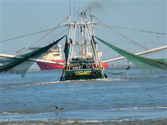 Crystal Beach Texas and Bolivar Peninsula is home to a fleet of Shrimp Boats both Bay and Offshore. Crab, Shrimp, Fish and in season Oyster can all be found at area Fish Houses and Stores in Crystal Beach.