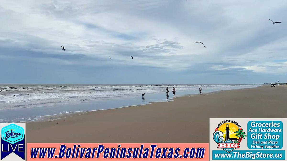 A Beachfront Ride With Bolivar LIVE In Crystal Beach, Texas.