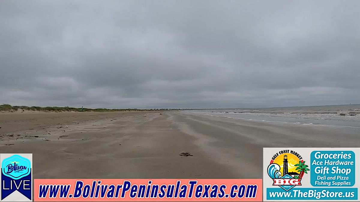 A Ride With Bolivar LIVE To The Beach On Bolivar Peninsula.