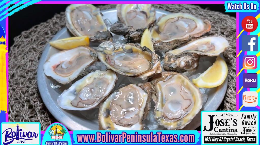All You Can Eat Oyster Roundup at Jose’s Don't Miss Out!