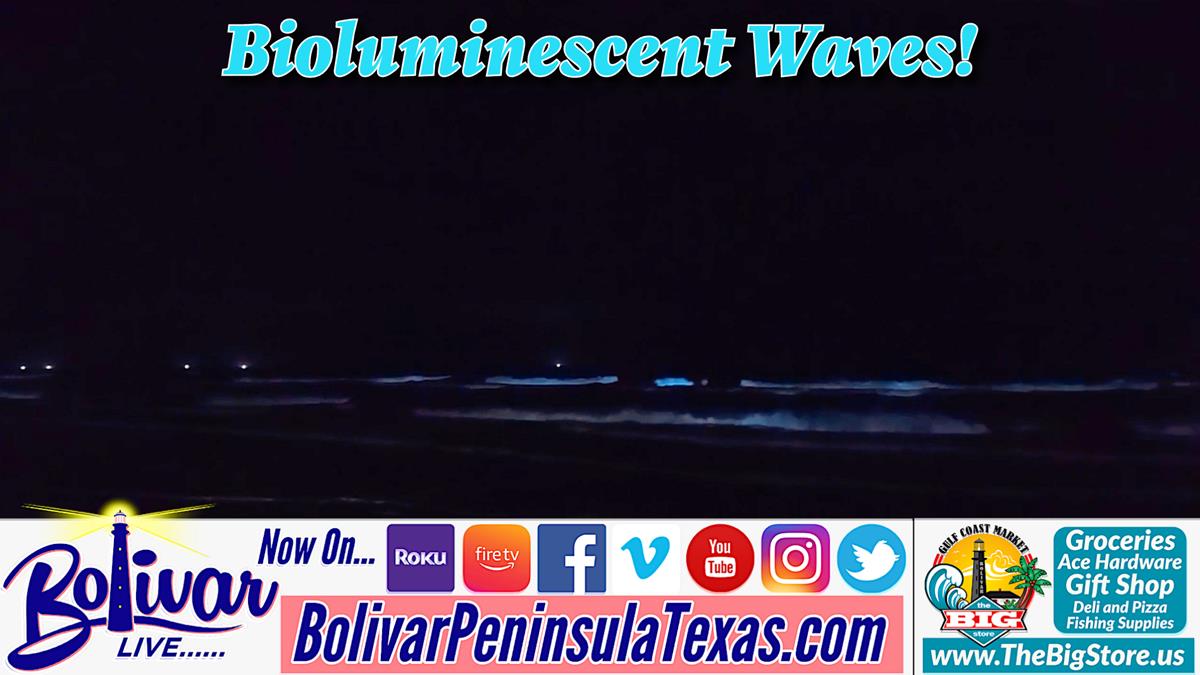 Bioluminescent Waves Along Parts Of Bolivar Peninsula Two Nights.