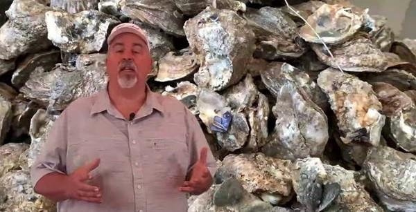 Bolivar LIVE The Taste Of At Jose's Cajun Seafood and Steaks, Talking Fresh Oysters!!