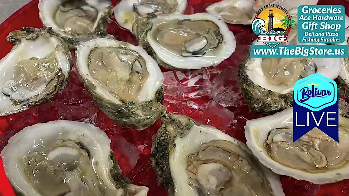 Bolivar LIVE, The Taste Of On Bolivar Peninsula and Fresh Oysters