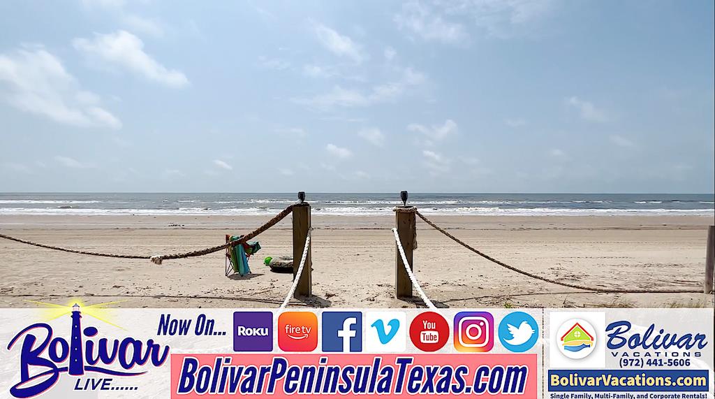 Bolivar Live, Beachfront Vacation Rental Preview, Flamingo