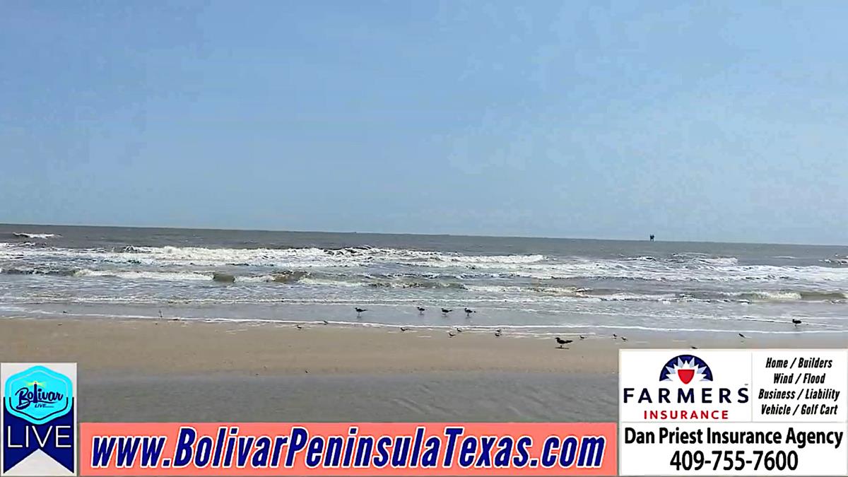 Don't Sit At Home This Weekend, Visit, Bolivar Peninsula.