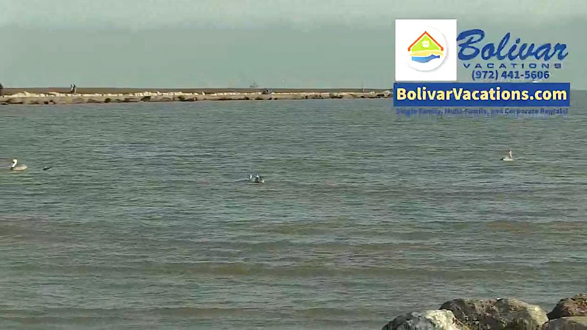 Enjoy A Walk, Birds and Beautiful View From The North Jetties!