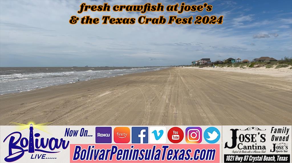 Fresh crawfish at Jose's & the Texas Crab Fest 2024