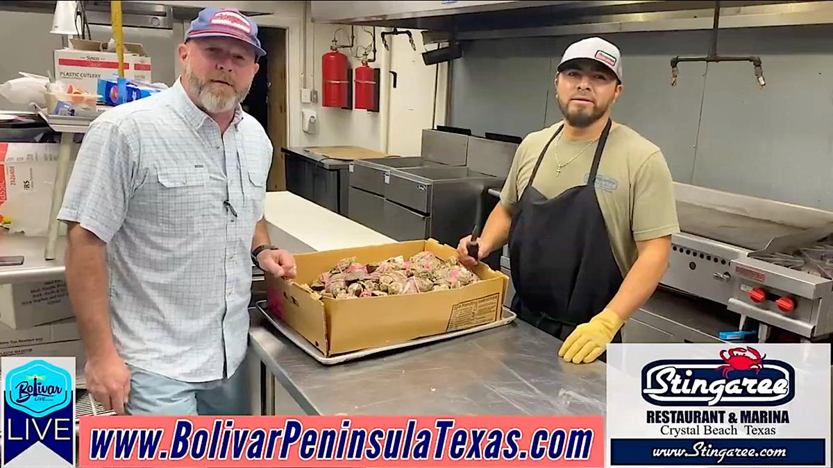 Fresh Oysters and Cajun Cookoff In Crystal Beach, Texas.