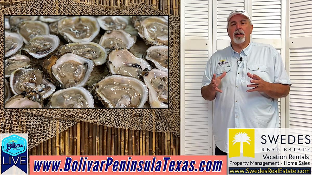 Fresh Oysters On Bolivar Peninsula, Starting This Week.