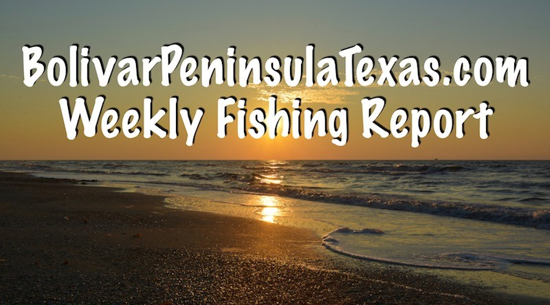 Galveston and Crystal Beach Texas Weekly Bay and Offshore Fishing Report