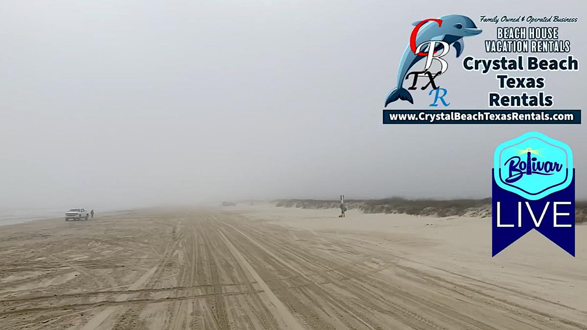 Get Your Oyster Fix, All You Can Eat Oysters, Crystal Beach, Texas