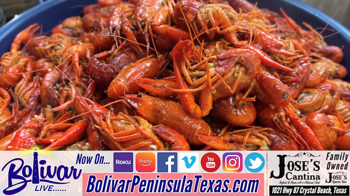 Jose’s Cajun Seafood, Your Boiled Crawfish Headquarters On Bolivar Peninsula.