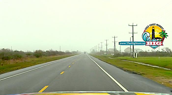 Just A Froggy Monday Morning In Paradise, Crystal Beach, Texas!