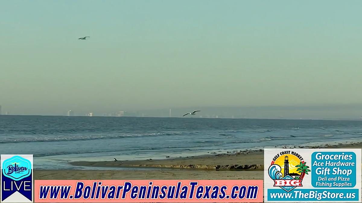 Morning Drive To The Beachfront On Bolivar Peninsula.