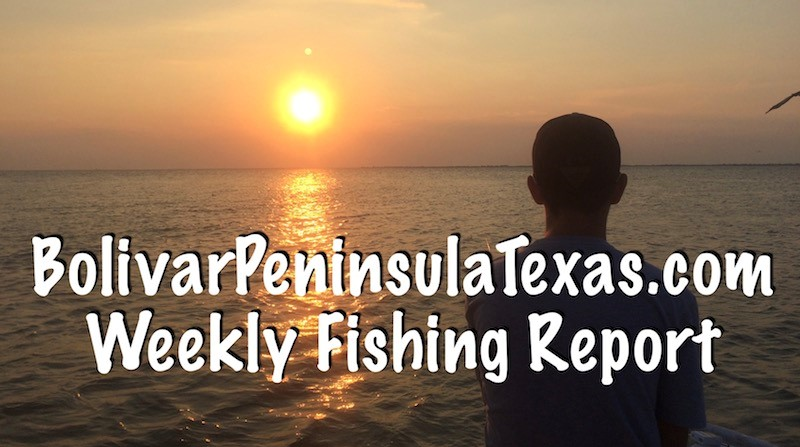 New For 2018, Weekly Galveston Bay and Jetty/Offshore Fishing Reports!