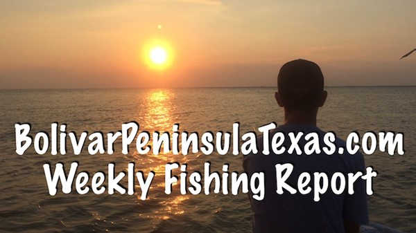 New For 2018, Weekly Galveston Bay and Jetty/Offshore Fishing Reports!