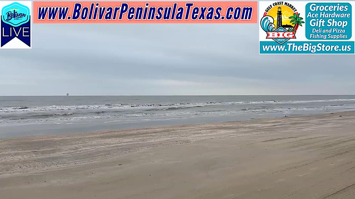 Prefrontal Conditions On Bolivar Peninsula.