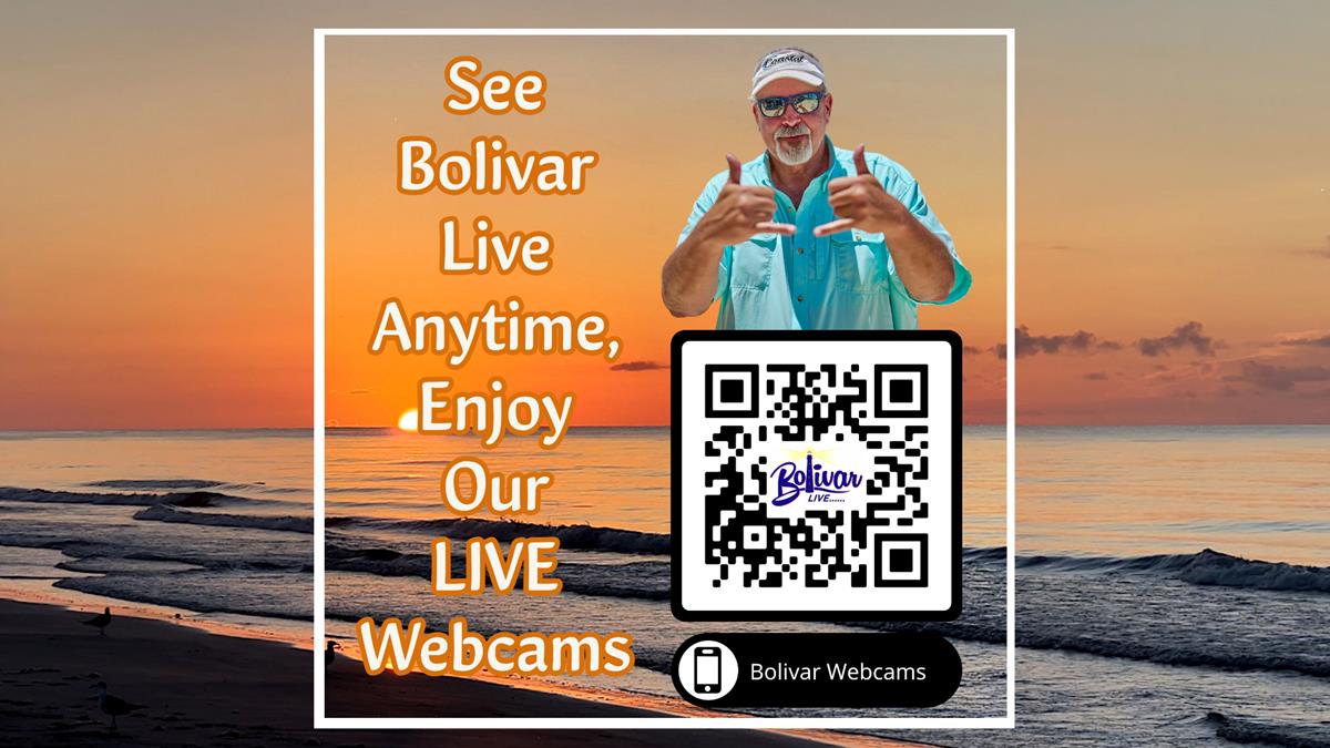 See Bolivar Live Anytime Thru Our 11 Live Webcams.