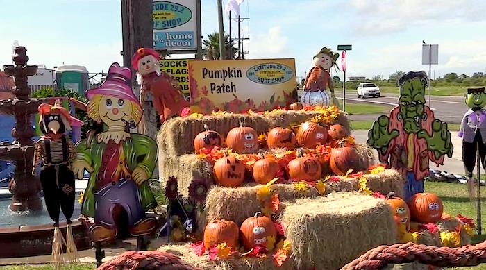 Time To Visit The Pumpkin Patch At Latitude 29 Surf Shop IN Crystal Beach Tx!