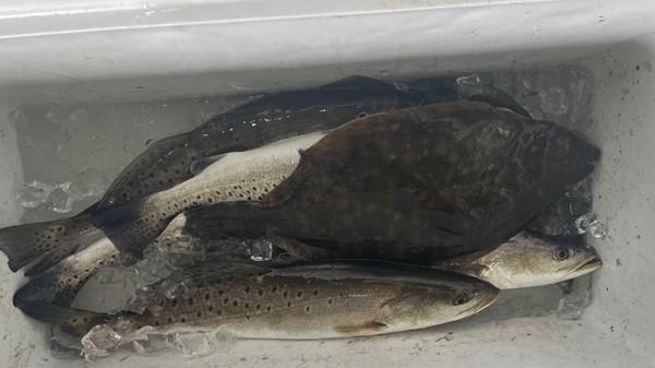 Weekly fishing report ending Feb 2nd, East Galveston Bay