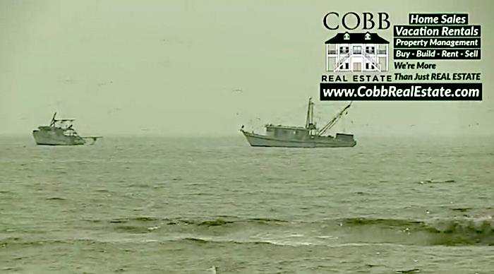 Your Lunchtime Beach View,  Live In Crystal Beach, Texas!