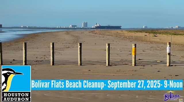 Bolivar Flats Beach Cleanup