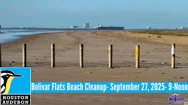 <a href="/Event-2025-9-27-Bolivar-Flats-Beach-Cleanup" itemprop="url">Bolivar Flats Beach Cleanup</a>