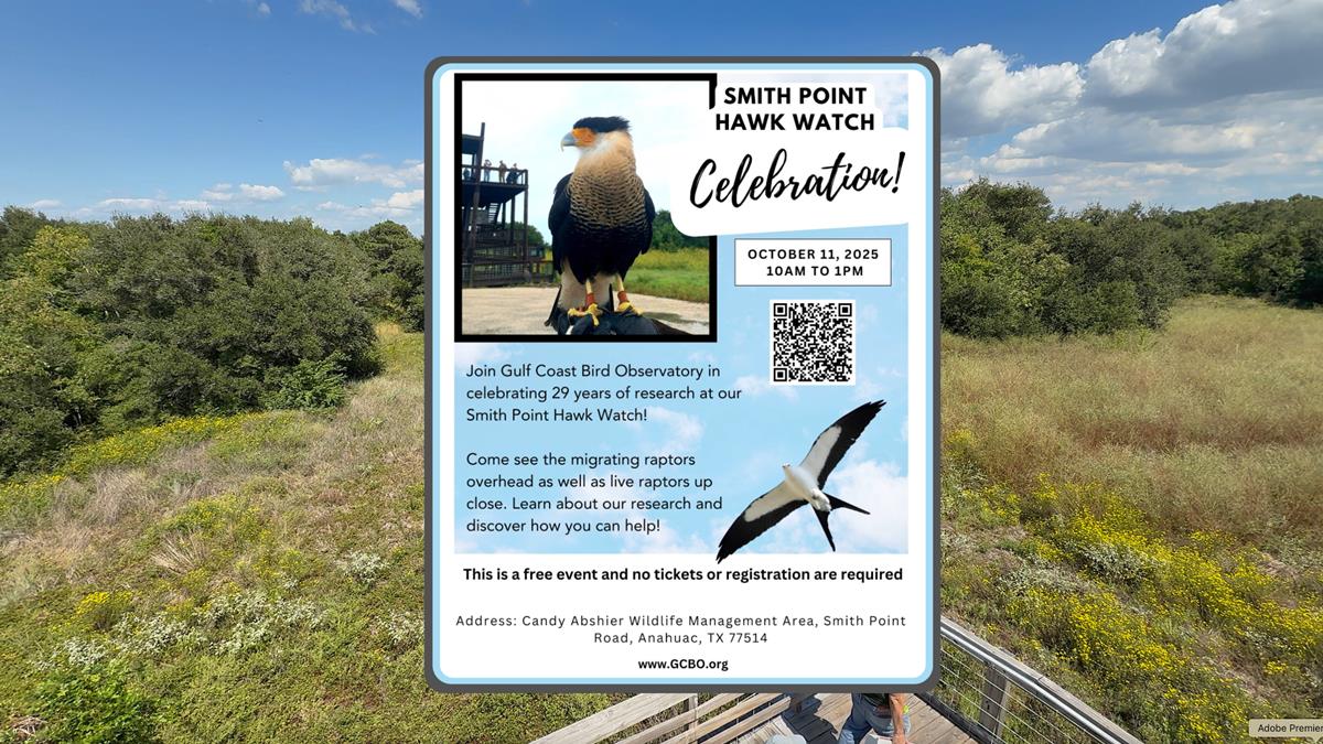 Smith Point Hawk Watch Celebration