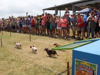 Texas Crab Festival