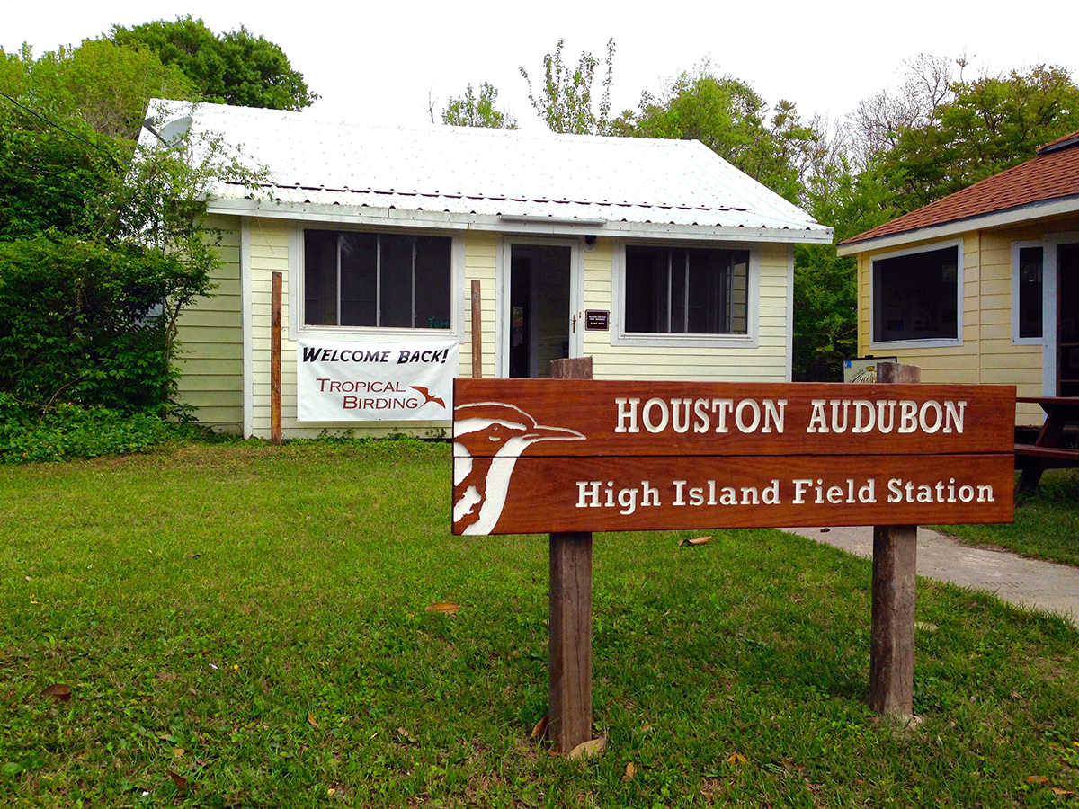 Bolivar Peninsula Audubon Society