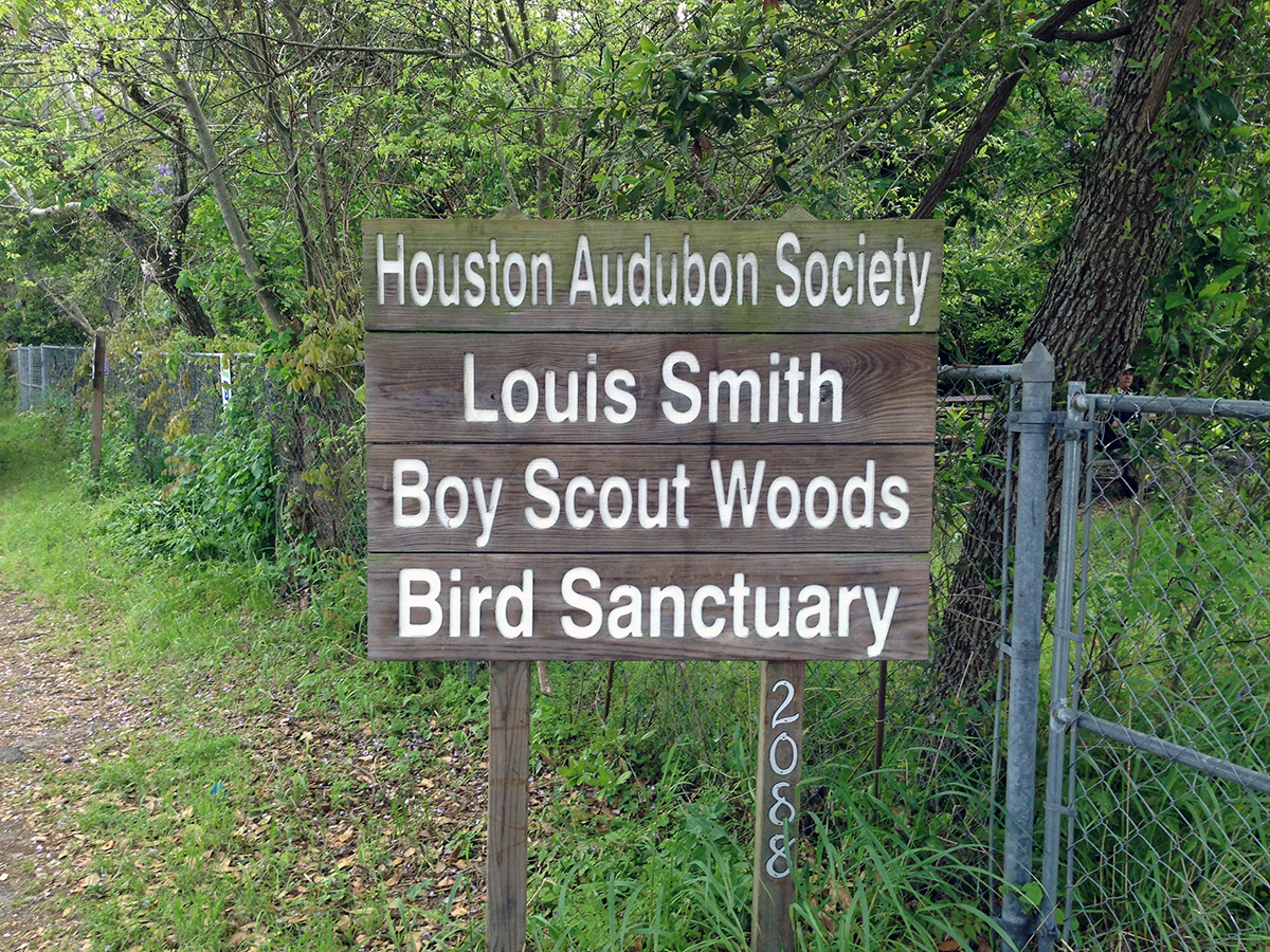 Bolivar Peninsula Birding | Boy Scout Woods Bird Sanctuary