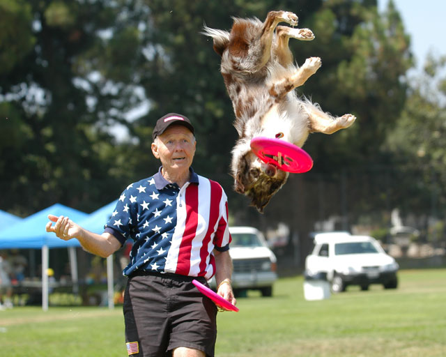 Disc Dog Event in Crystal Beach Texas