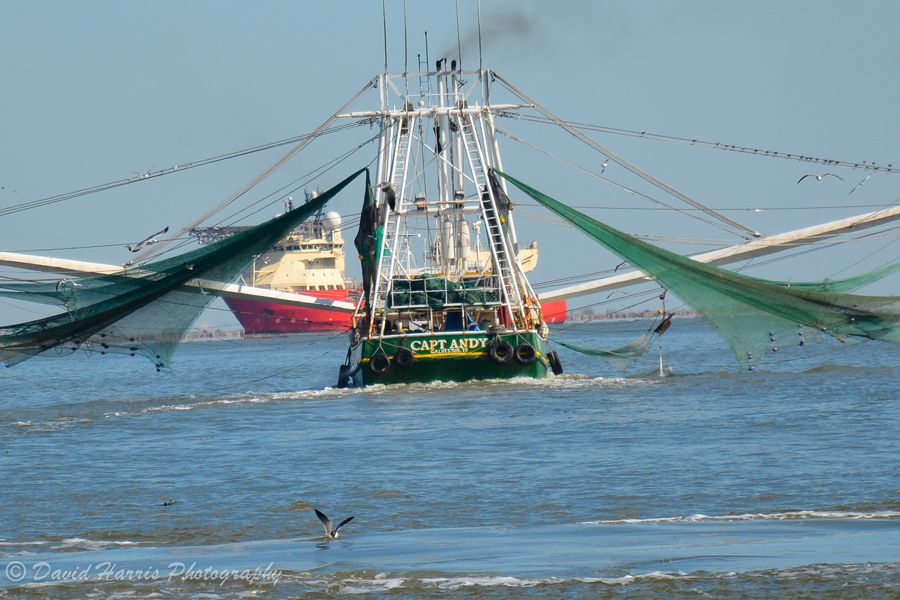 Bolivar Peninsula, Texas